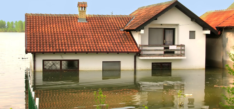 Osuszanie budynków
