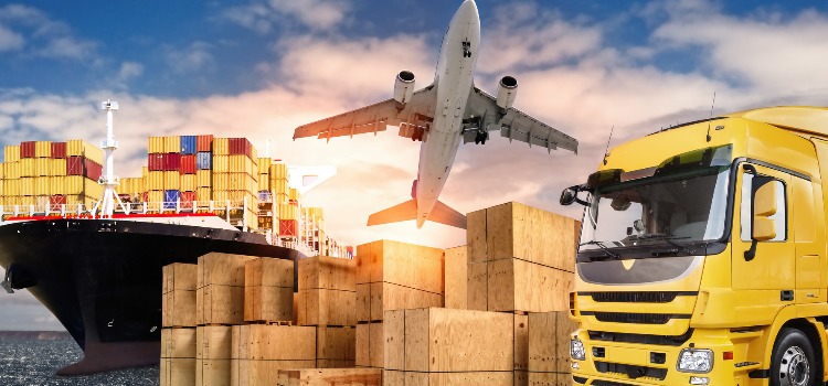 3 typy transportu, które warto znać!