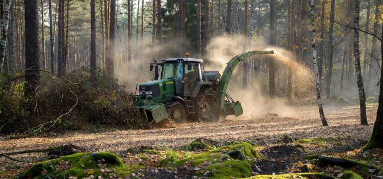 Co sprawdzić przed sprzedażą zarośniętej działki leśnej i rozpoczęciem prac terenowych