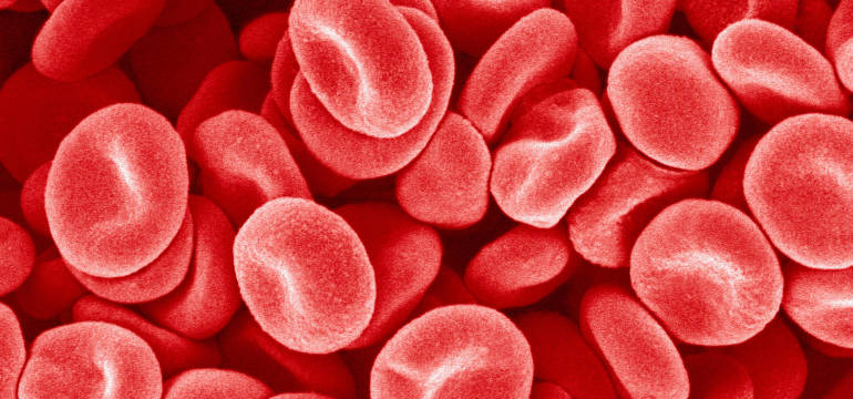 Leczeniem, jakich chorób krwi zajmuje się specjalista Mieczysław Komarnicki?