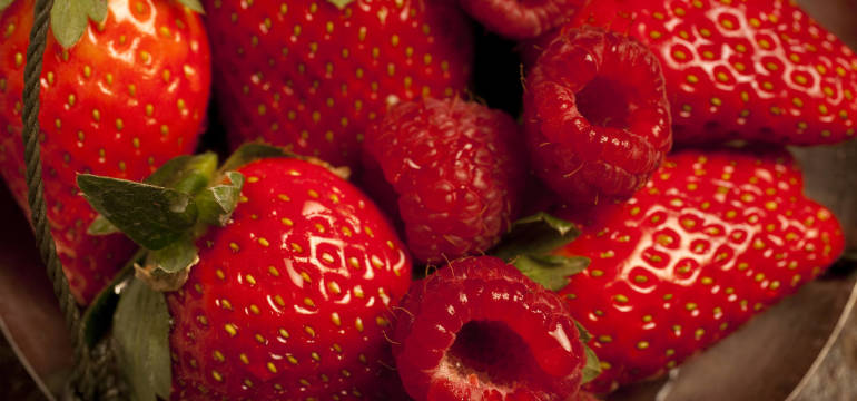 Dlaczego warto zaopatrzyć się w owoce i warzywa u firmy Red Plant?
