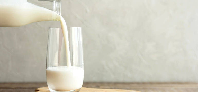Topmleko – recepta na zyskowną produkcję mleka