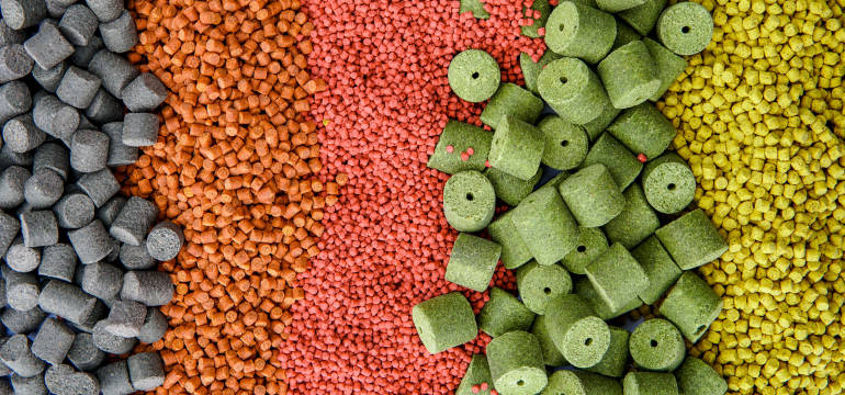 Wybór zanęty wędkarskiej z firmą Agro-Fish