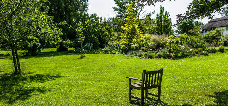 Szkółka Drzew i Krzewów Karolina Wyrzykowska – jakie rośliny wybrać do domowego ogrodu?