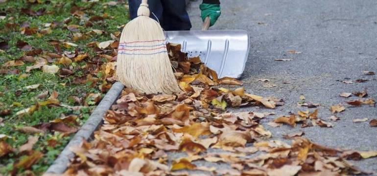 Kompleksowe sprzątanie na terenie osiedla