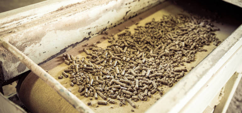 Jak powstaje pellet?