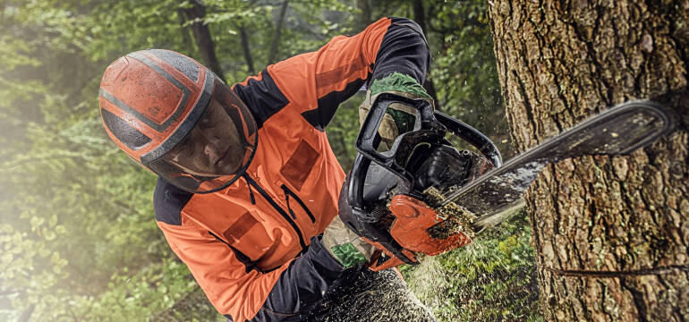  Na czym polega wycinka drzew? Poznaj ofertę firmy Grzegorza Florka Usługi Leśne!