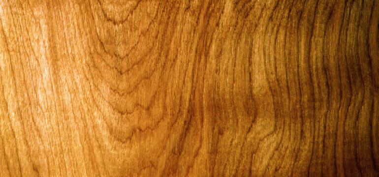 Jakie gatunki drewna dostępne są w ofercie firmy Zakład Drzewny i Usługi Transportowe WOLTAR Dariusza Wolańskiego? 