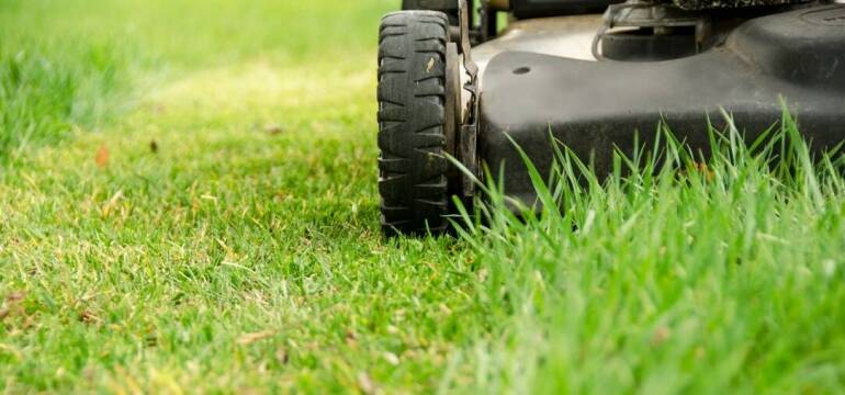 Jakie kosiarki z oferty firmy Sochacki-Serwis sprawdzą się w trudnym terenie?