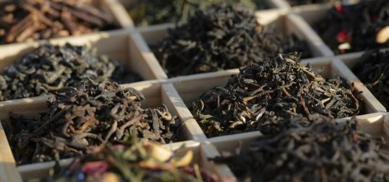 Lecznicze właściwości różnych rodzajów herbat od Dębski i Syn