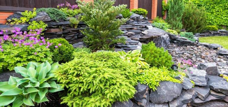 Skalniak, czyli prosty sposób na wyjątkowy ogród. Zakład usług agrotechniczno-sanitarnych Agrosan