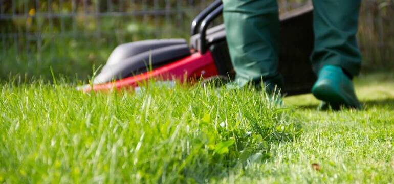 Czy warto zlecić pielęgnację trawników profesjonalistom z Przedsiębiorstwa Usługowego Flora?