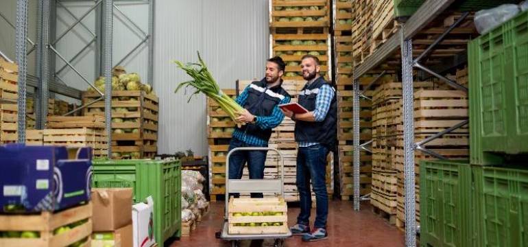 Jak działa hurtownia? Podstawowa klasyfikacja i charakterystyka