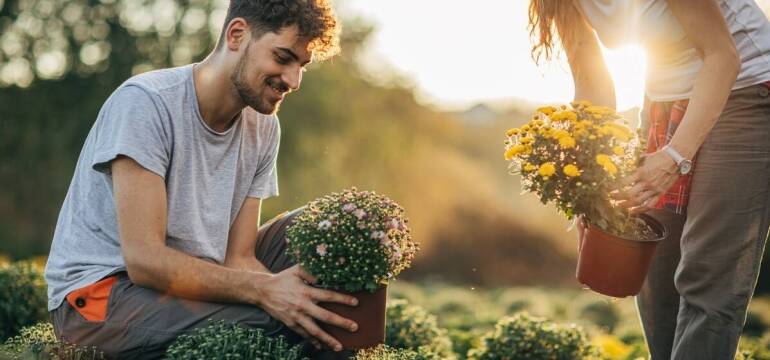 Pielęgnacja krzewów w przestrzeniach publicznych