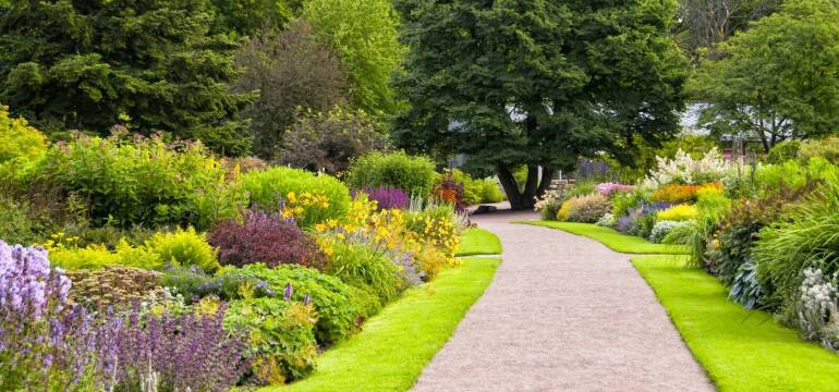 Drzewa owocowe w żywopłotach – estetyka i funkcjonalność