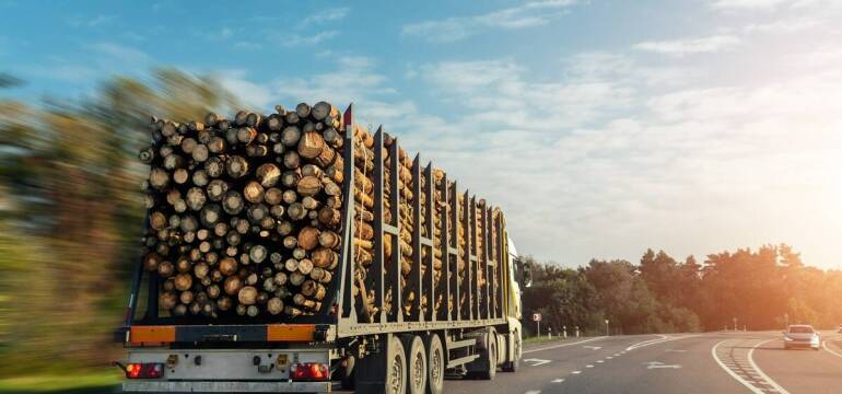 Transport drewna - wybór odpowiednich pojazdów