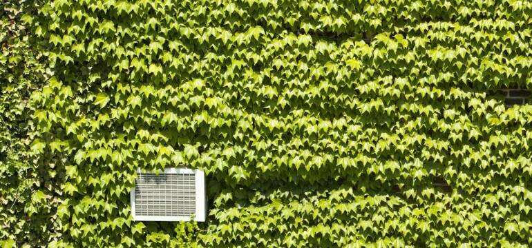 Odnawianie ołtarzy - Grażyna Lazarowicz.