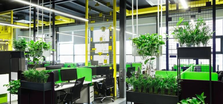 Projektowanie obiektów sportowych – PG Studio Paulina Giel