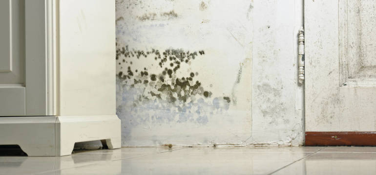 Czy iniekcja kurtynowa to dobra metoda hydroizolacji?