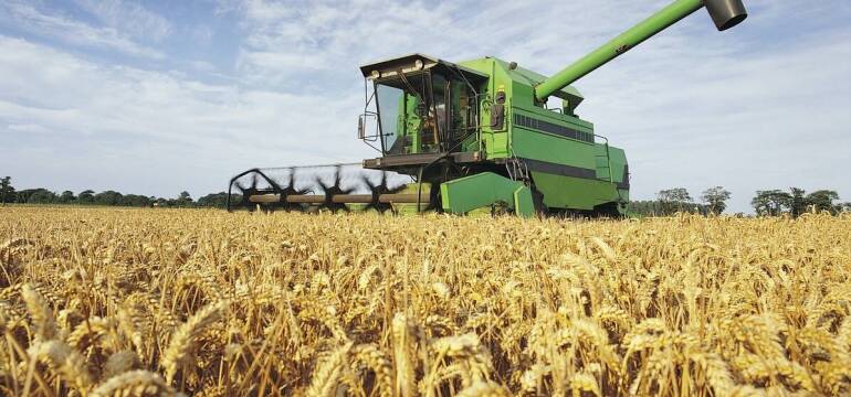 Nowoczesne nasiennictwo zbóż w Przewornie