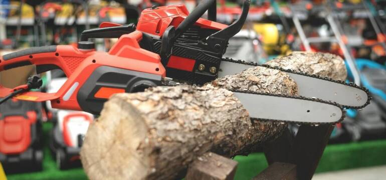 Wybór pilarki do ogrodu i lasu – Zycher Serwis