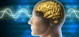 Konsultacje neurologiczne w Centrum Medycznym Vita-Medica