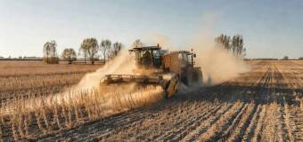 Mechaniczny zbiór fasoli — kiedy skraca żniwa i ogranicza straty plonu