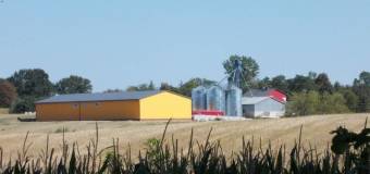 Sprzedaż i kupno ziarna. Dlaczego warto wybrać skup zboża Henrix?