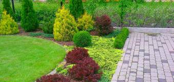 Garden Park Katarzyna Mazurczak – profesjonalne projektowanie ogrodów i terenów zielonych