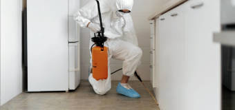 Profesjonalne usługi DDD – postaw na firmę Anwit z wieloletnim doświadczeniem!