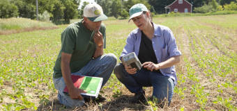 Kiedy warto skorzystać z usług firmy Amd-Rol?