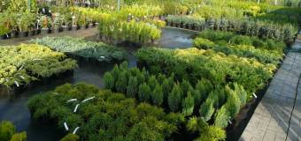 Przygotuj swój ogród na wiosnę razem z hurtownią „Ogrody Gorlice”!