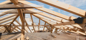 Cechy drewna konstrukcyjnego od tartaku ROL-TRANS