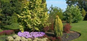 Zakładanie ogrodu ze Szkółką Drzew i Krzewów Ozdobnych Januszewscy