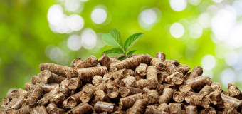 Pelet – ekologiczne i odnawialne biopaliwo z firmy Warmia Plus Fhu