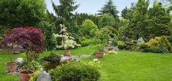 Pielęgnacja ogrodu Cię przerasta? Zleć to fachowcom z firmy Wymarzony Ogród!