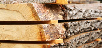 Pracownik tartaku Standrew S.A. wyjaśnia różnice między tarcicą obrzynaną a nieobrzynaną