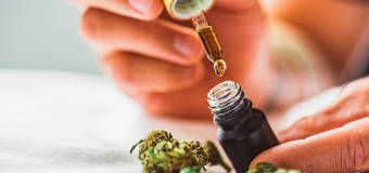 Jakie są zastosowania olejków i past CBD?