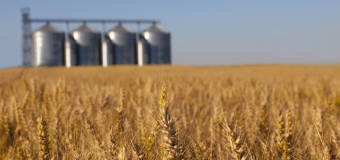 O rodzajach silosów z firmą K.R.U.K. Technika i Energia Sp. z o.o.