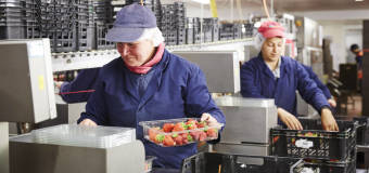 Sprawna i dobrze przemyślana linia produkcyjna w przemyśle spożywczym? Tylko z Instytut Maszyn Spożywczych Sp. z o.o.!