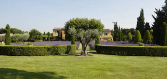 Mal-Eko Marlena Zielińska – Pielęgnacja terenów zielonych