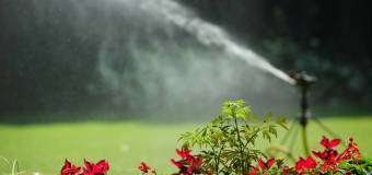 System nawadniający Twój ogród z firmą Dom Impex PPHU