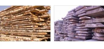 Czym jest tarcica i jakie ma zastosowanie?