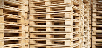 Rodzaje palet – na co warto postawić?