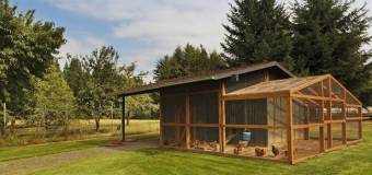 Jakie wymogi musi spełniać kurnik?