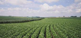 Zabezpiecz swoje gospodarstwo z firmą Ubezpieczenia KB