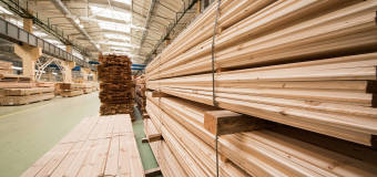 Tarcica stolarska dla Twojej firmy tylko z tartaku Drew-Bud