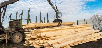 Kompleksowe usługi tartaczne – poznaj ofertę firmy SN Drew Holz!