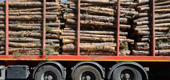 Jak bezpiecznie transportować drewno?