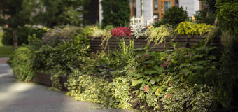 Firma OAZA zadba w profesjonalny sposób o Twój ogród